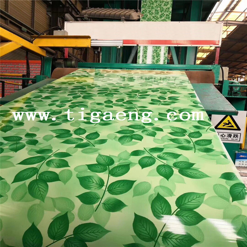 Factory Price Dx51d 101250mm Width Color Coated Steel Coil