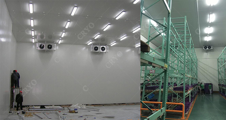 Cold room projects cold storage for vegetablefruitseafoodbeverage