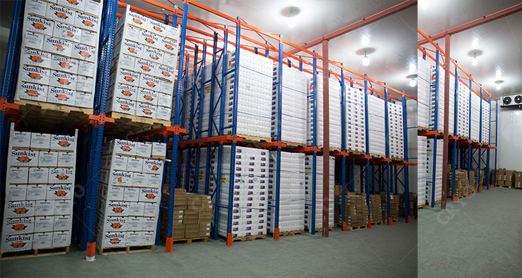 Cold room projects cold storage for vegetablefruitseafoodbeverage