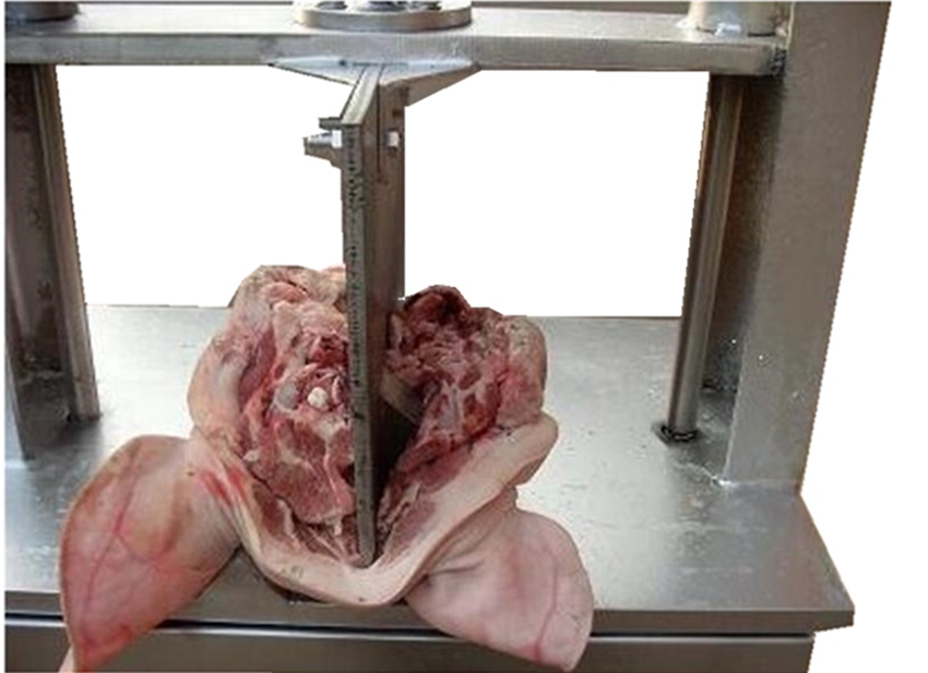 Factory Direct Pig Head Splitting Machine Wholesale Retail Pig Head Splitting Machine