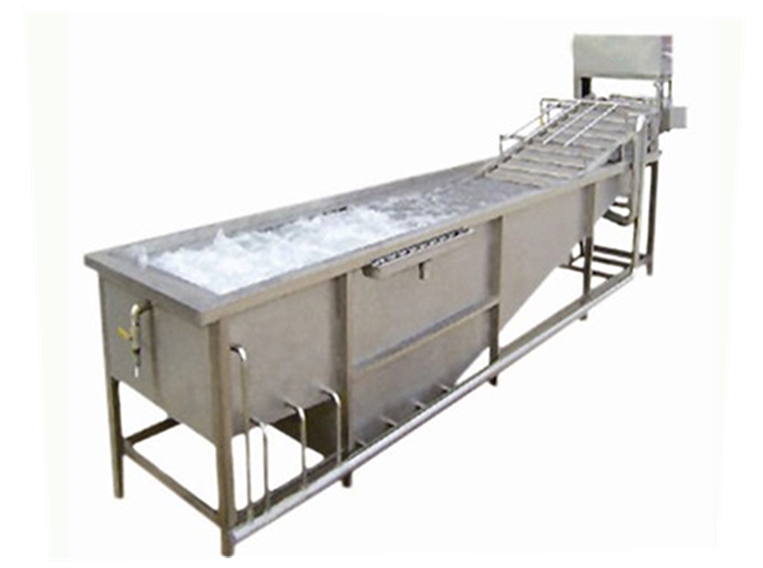 Newly designed fruit and vegetable washing machine health food fruit and vegetable washing machine