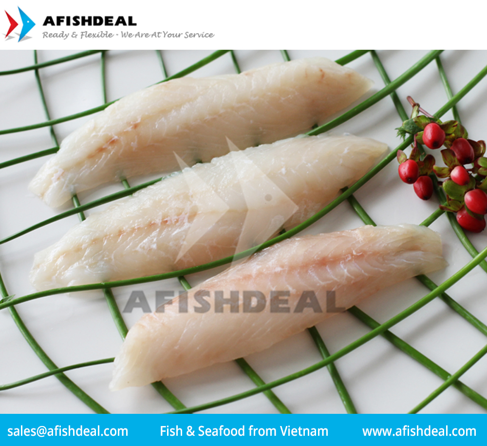 OILFISH ANCHOVY PARROT FISH WAHOO GROUPER FROZEN FISH SEAFOOD ORIGIN VIETNAM WHOLE ROUND FROZEN