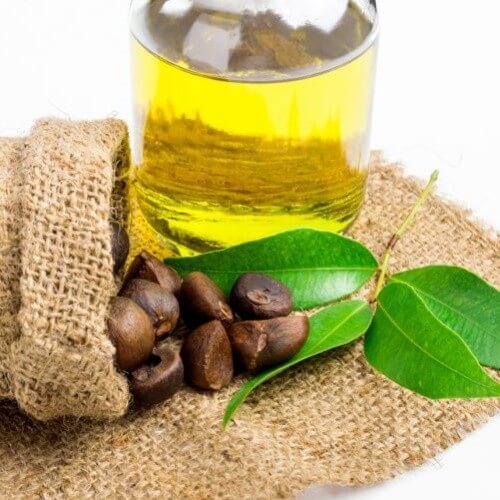 Camellia oleifera seed oil tea seed oil