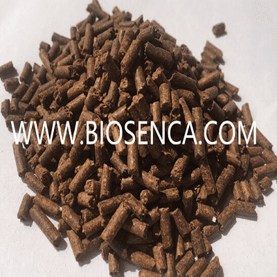 Tea seed pellet for shrimp farming killing unwanted fishes help shrimp growth