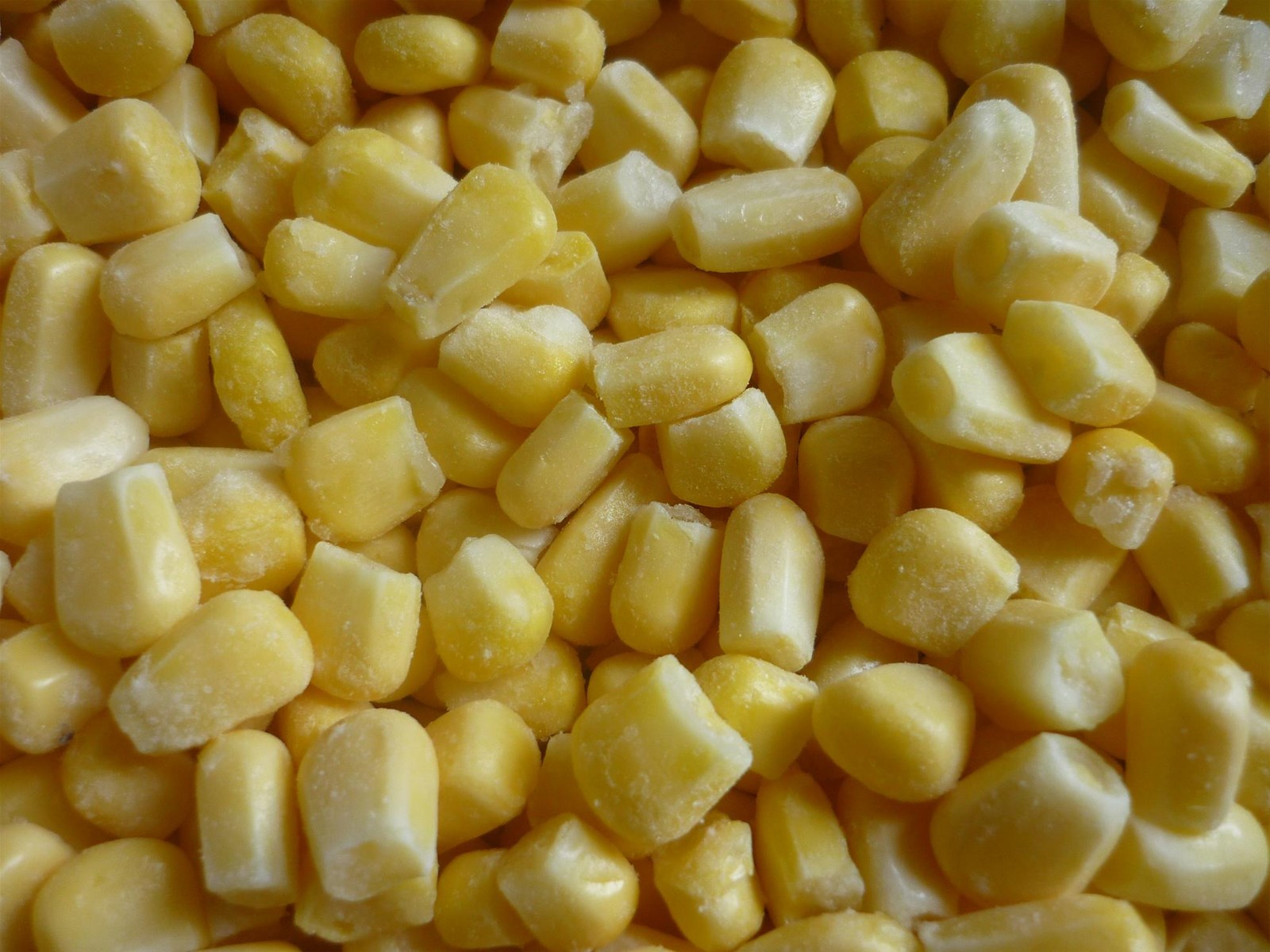 sell frozen sweet corn IQF Sweet Corn