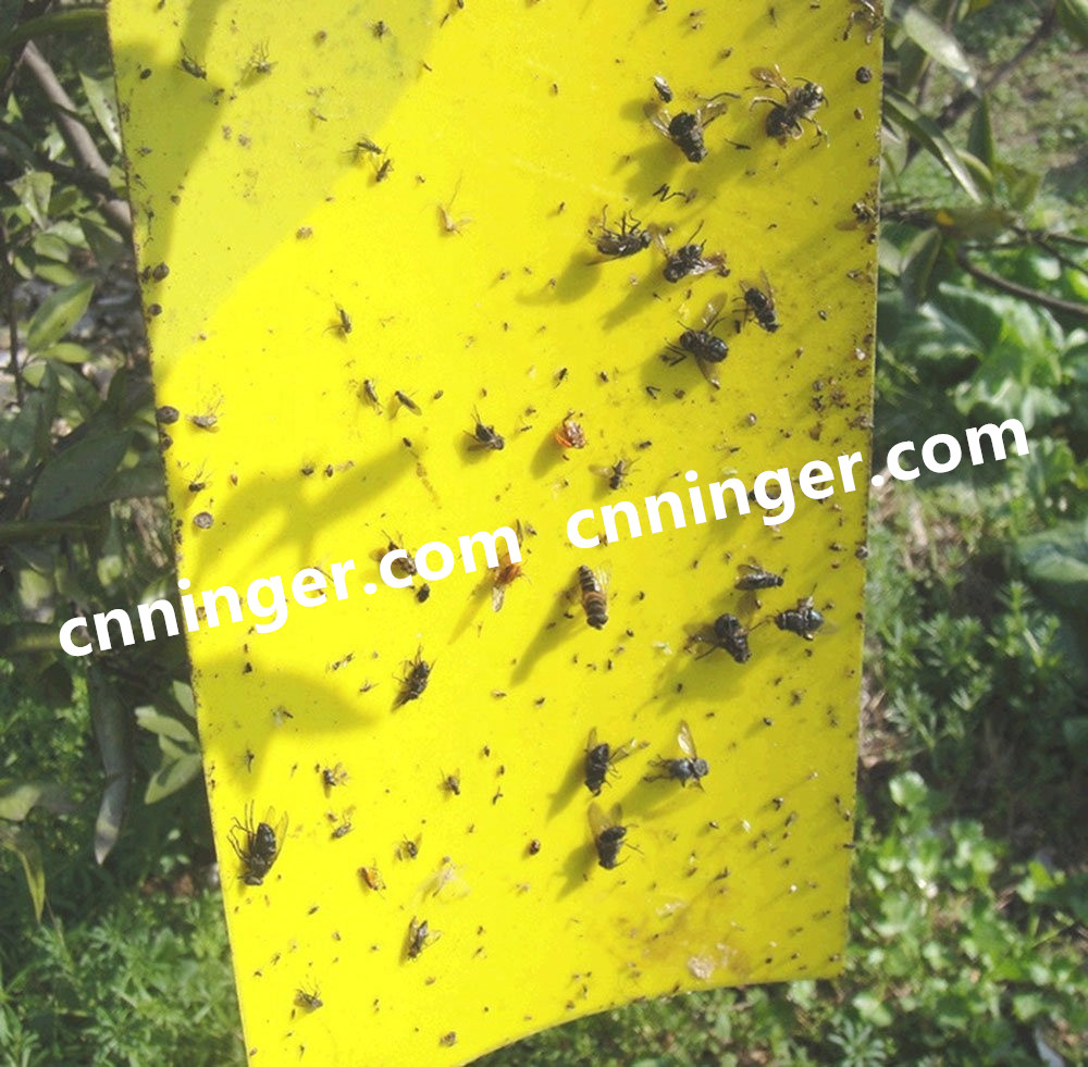 Insect Glue Traps Manufactureryellow sticky board for flying insects