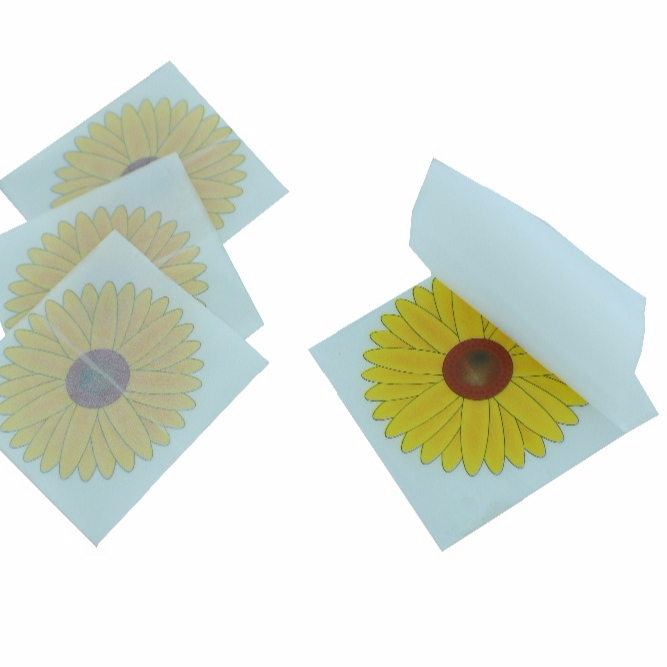 Window Flower Shape Flies Glue Trap Sticky Paper Fly Glue Trap Fly Control Manufacturer