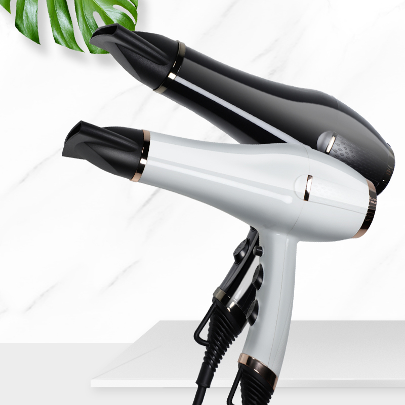 most Powerful 2300W AC Professional Hair Dryer with Pattern