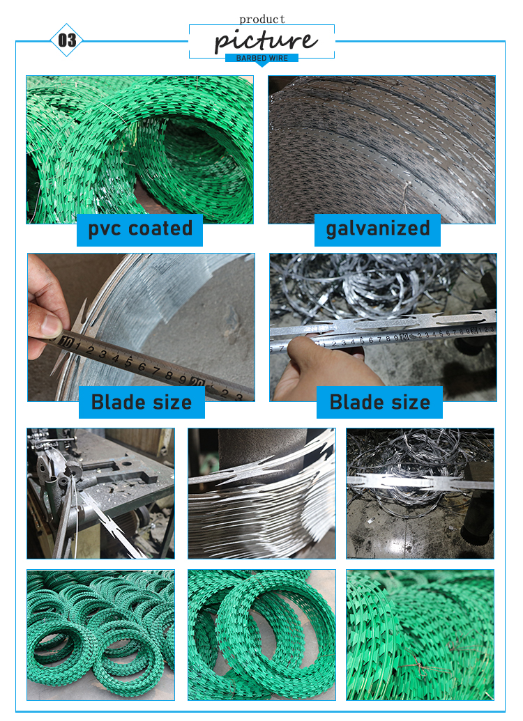 low price galvanized concertina razor barbed wire for sale