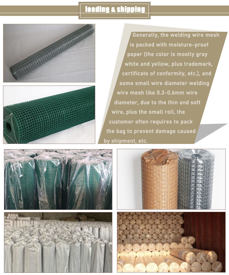 Galvanised concrete cattle Welded iron Wire Mesh
