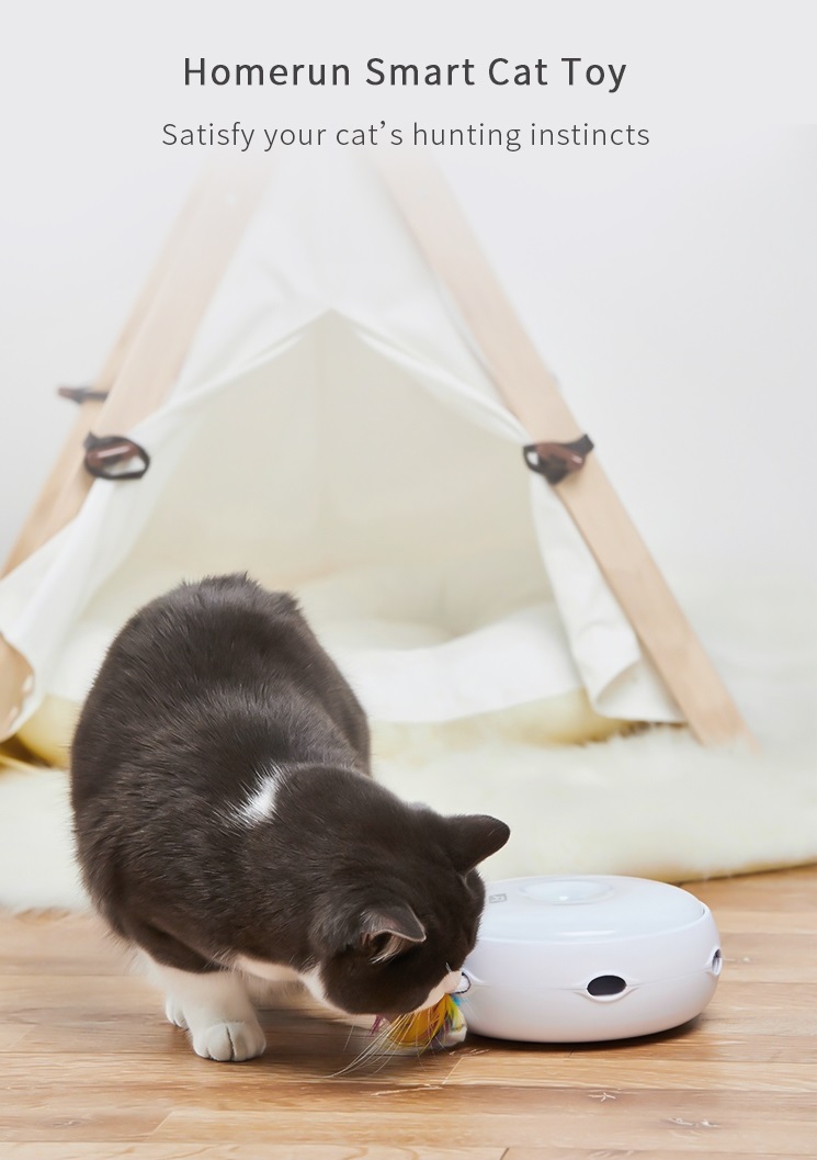 Automatic Electric Smart Interactive Cat Toy Teaser with Random Poping Up Feather LED CE FCC
