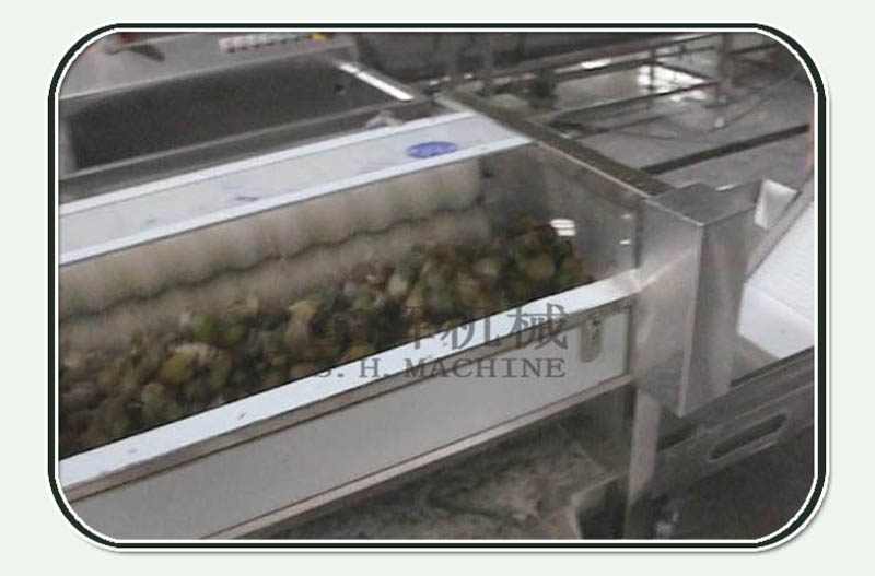 Noni fruit production line of enzyme pretreatment equipment