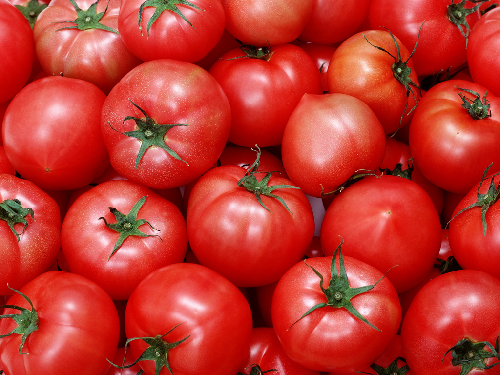 Our company produces 3638 and 2830 tomato paste 2019 CROP 3638 BRIX COLD BREAK Our company produces 3638 and 2830 tomato paste 2019 CROP 3638 BRIX COLD BREAK