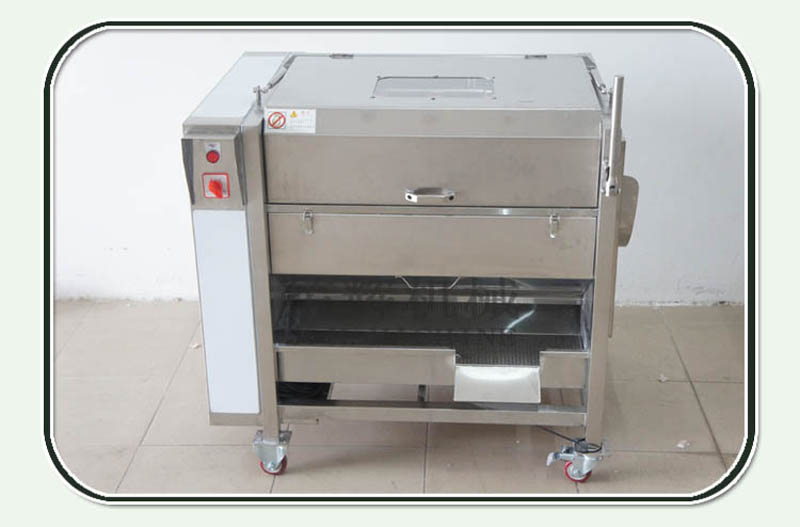 New version brush potatoes ginger carrot taro yam clenaing peeling machine with cover