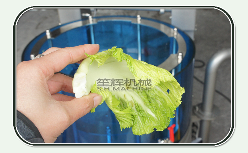 Commercial largescale fruit and vegetable spin dryer electric stainless steel vegetable dehydrator