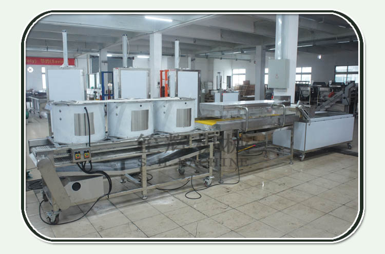 Passion fruit blueberry vegetable production line