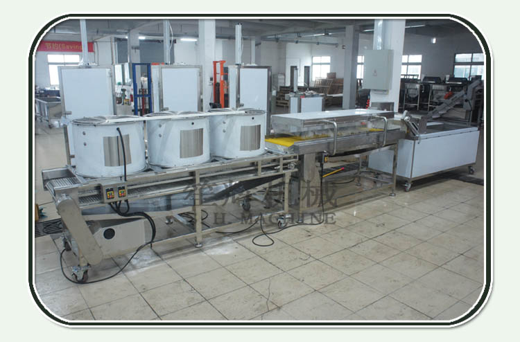 Passion fruit blueberry vegetable production line