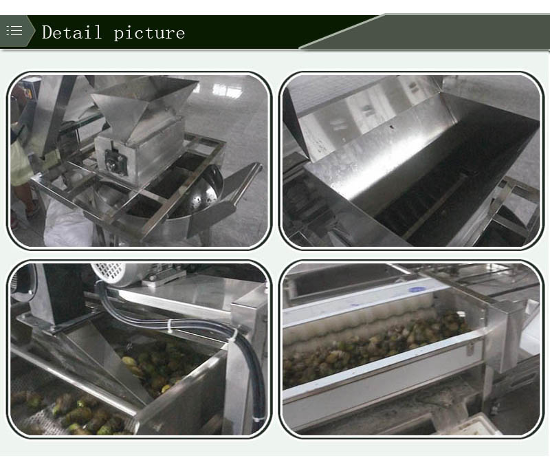 Noni fruit production line of enzyme pretreatment equipment