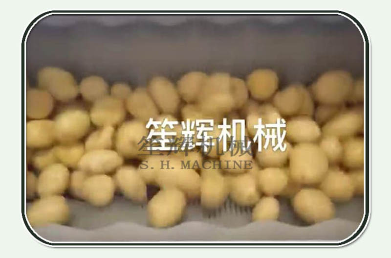 New version brush potatoes ginger carrot taro yam clenaing peeling machine with cover
