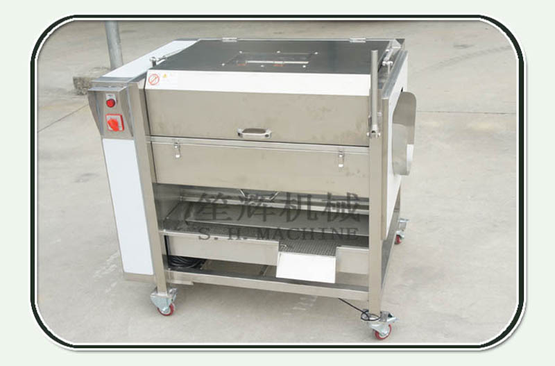 New version brush potatoes ginger carrot taro yam clenaing peeling machine with cover