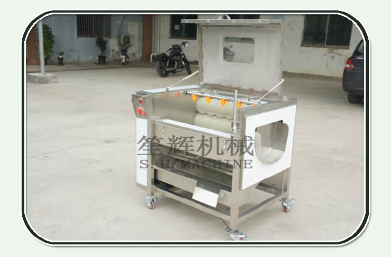 New version brush potatoes ginger carrot taro yam clenaing peeling machine with cover