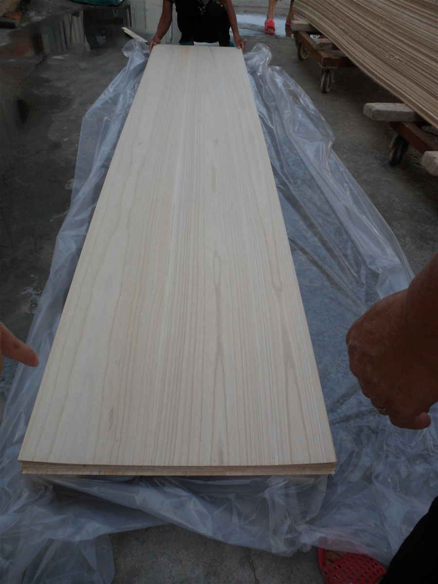 China paulownia wood price shan tong