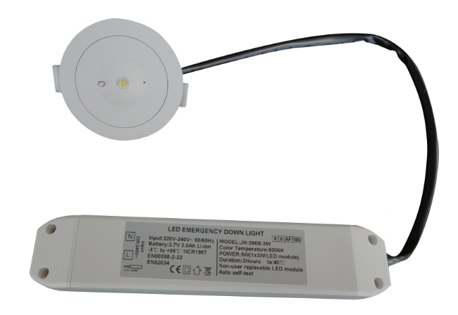 3w LED Emergency down light