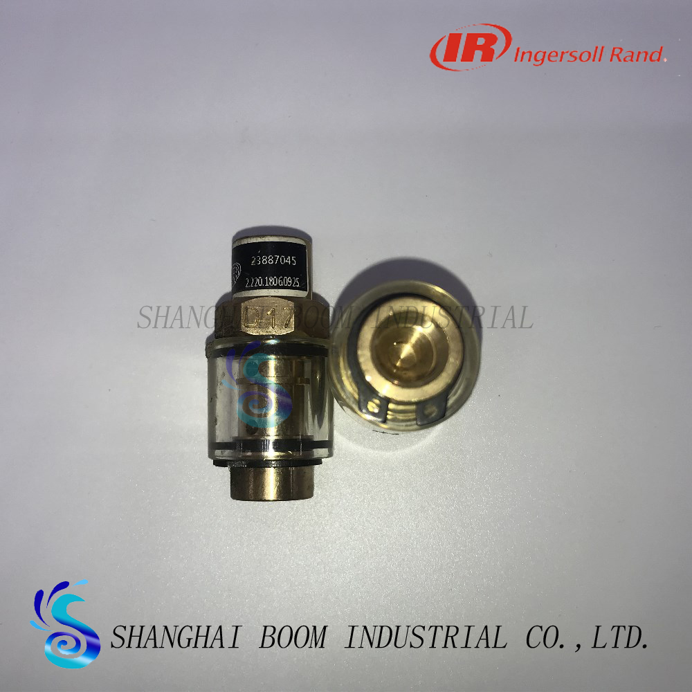 Ingersoll Rand rotary screw aircompressor spare parts relief valve 19036219