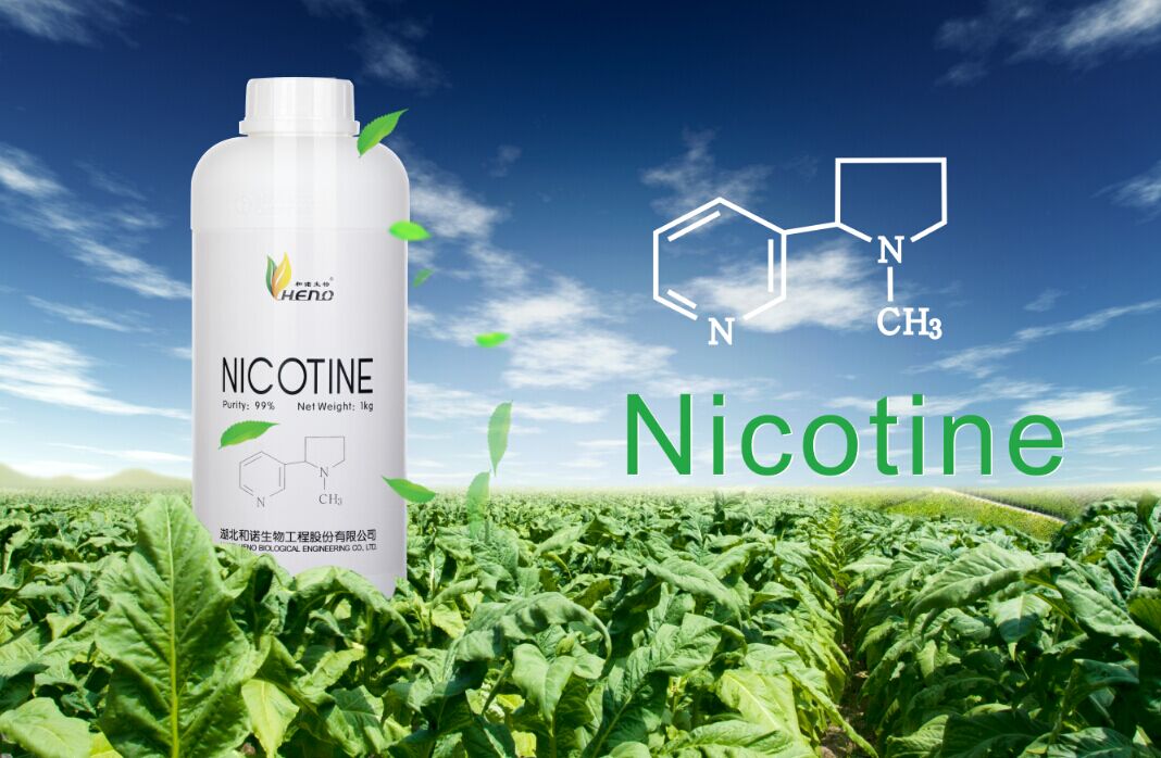 USP Grade pure nicotine 999mgml