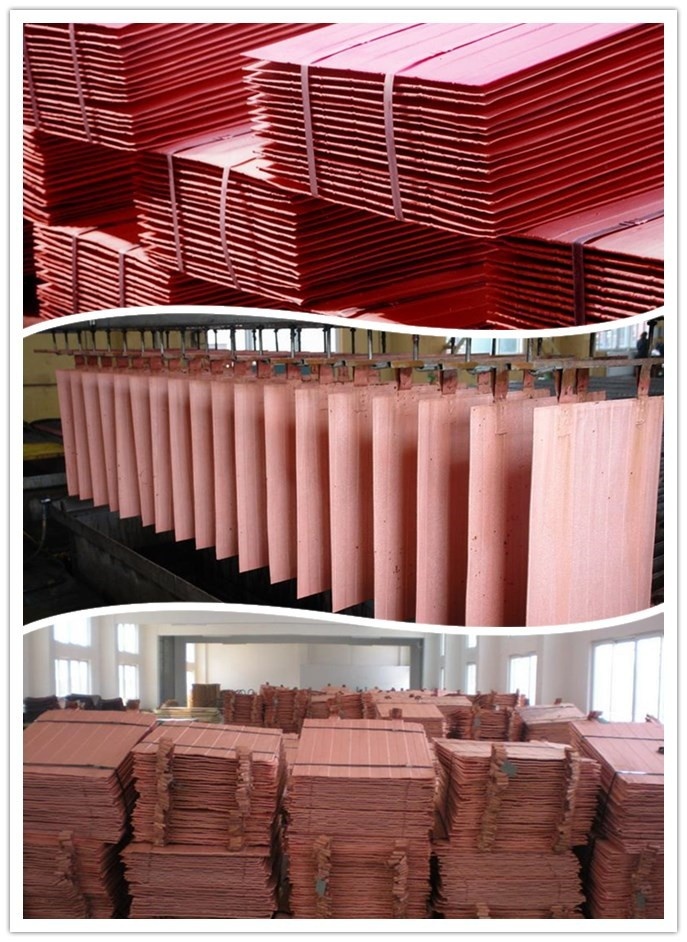 High Pure Electrolytic Copper Cathode 9999