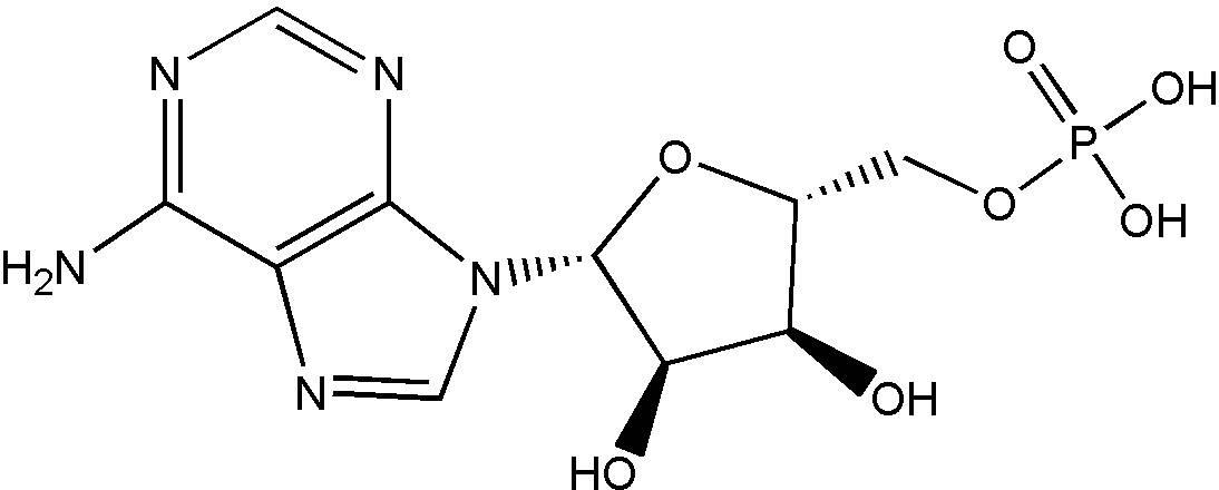 High quality Adenosine 5monophosphateAMPH