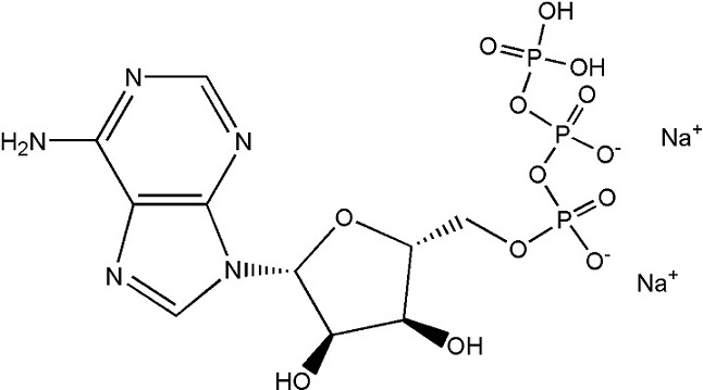 High quality Adenosine 5triphosphate disodium saltATPNa2CAS NO987655