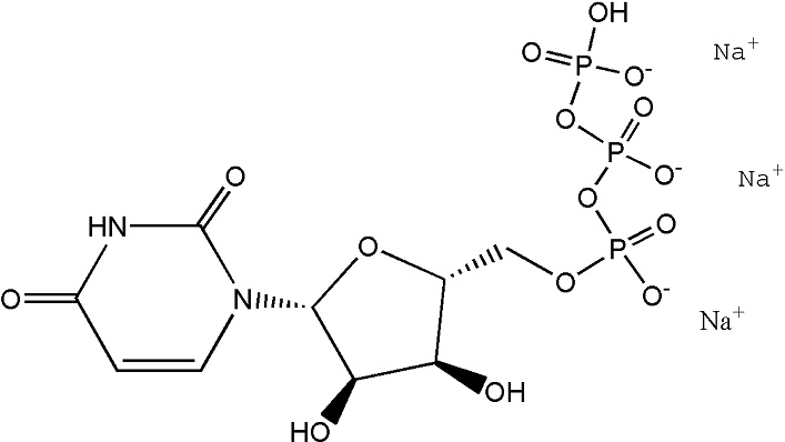 High quality uridine 5triphosphate trisodium saltUTPNa3 CAS NO19817926