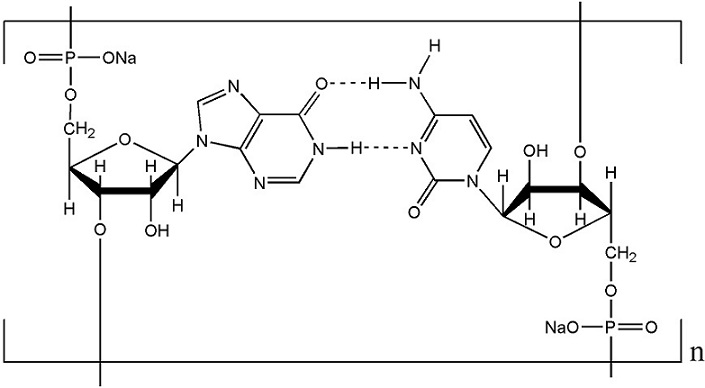 High quality polyinosinic polycytidylic acid sodium saltPoly IC CAS NO42424500