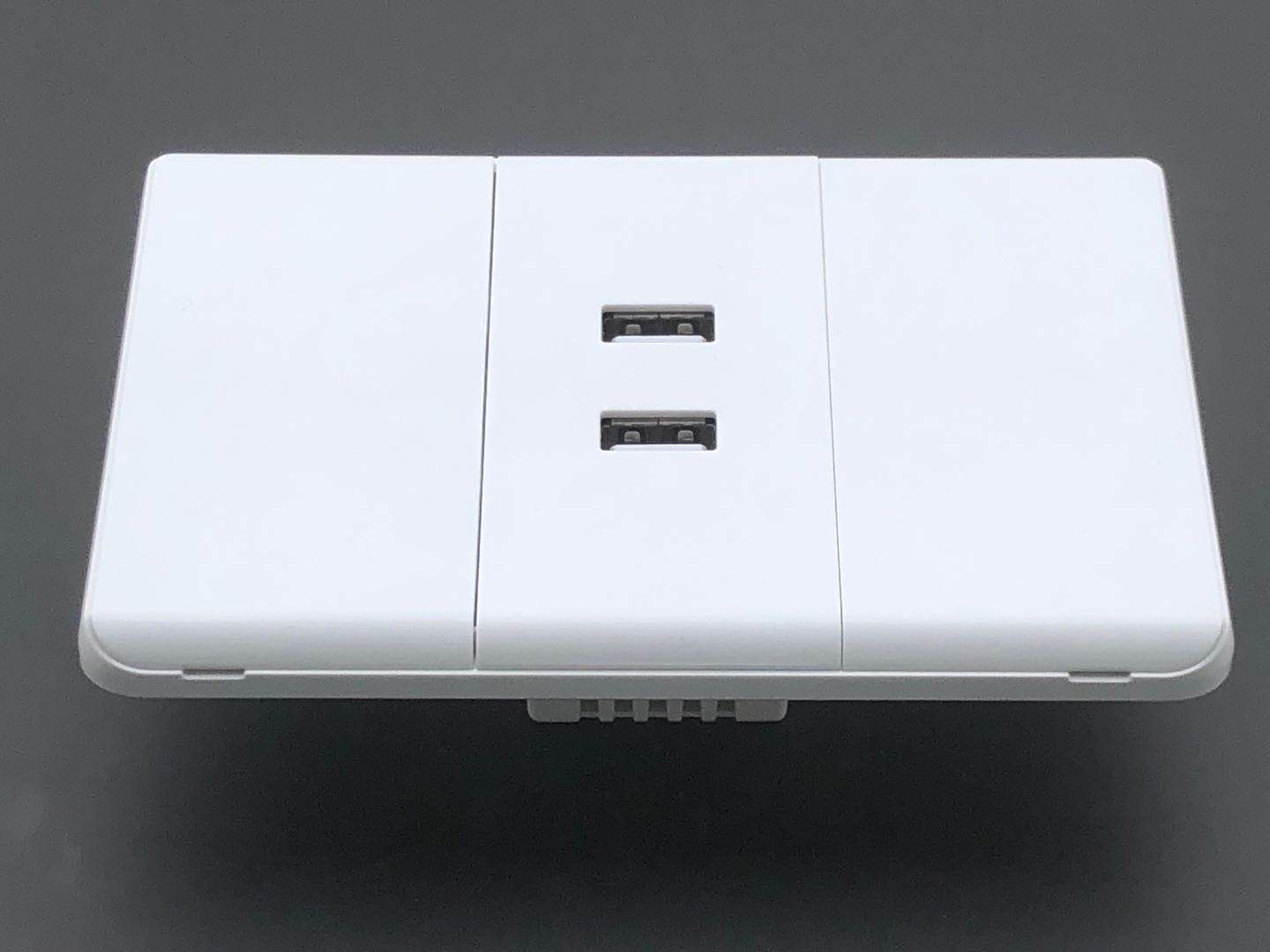 Electric Various Styles 5060 Hz 5V 2100mA standard USB 1 gang wall switch