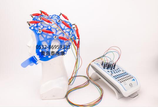 EEG Capfor bridge electrodesUse with alligator clip electrode wireElastic Caps