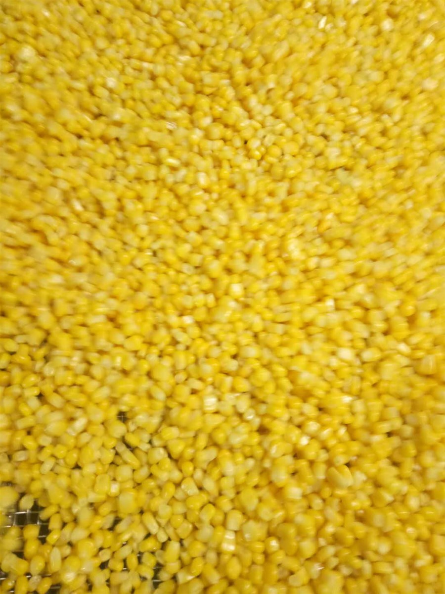 2020 New Season IQF Frozen Super Sweet Corn Nice Price