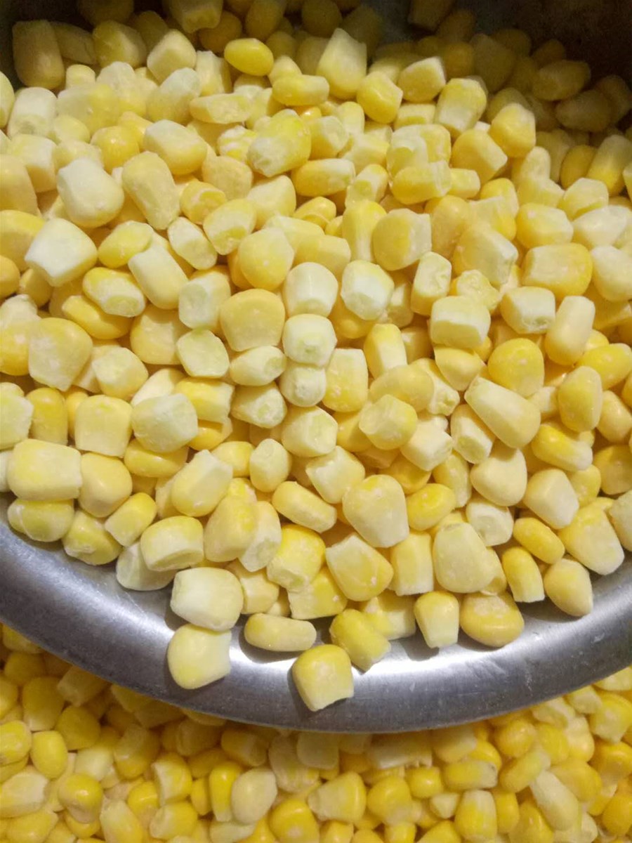 2020 New Season IQF Frozen Super Sweet Corn Nice Price