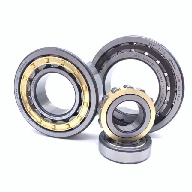 GCr15 Double Row SL014838 Cylindrical Roller Bearings