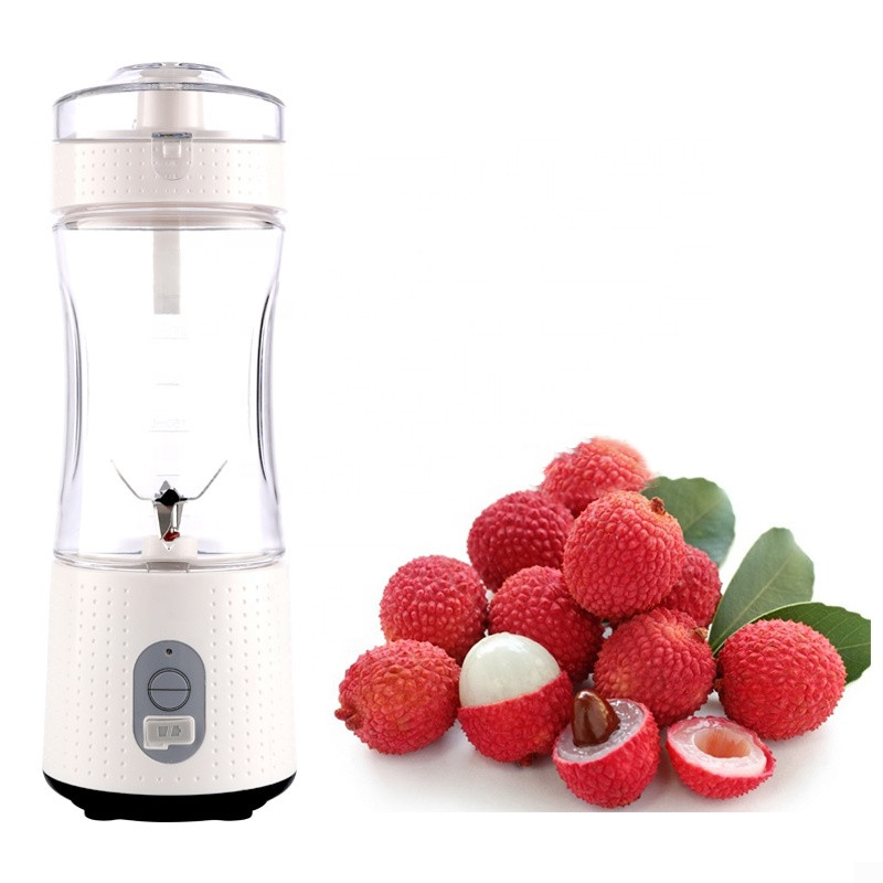 2020 New Personal Size Smoothies and Shakes Handheld Fruit USB Rechargeable Portable Mix Blender