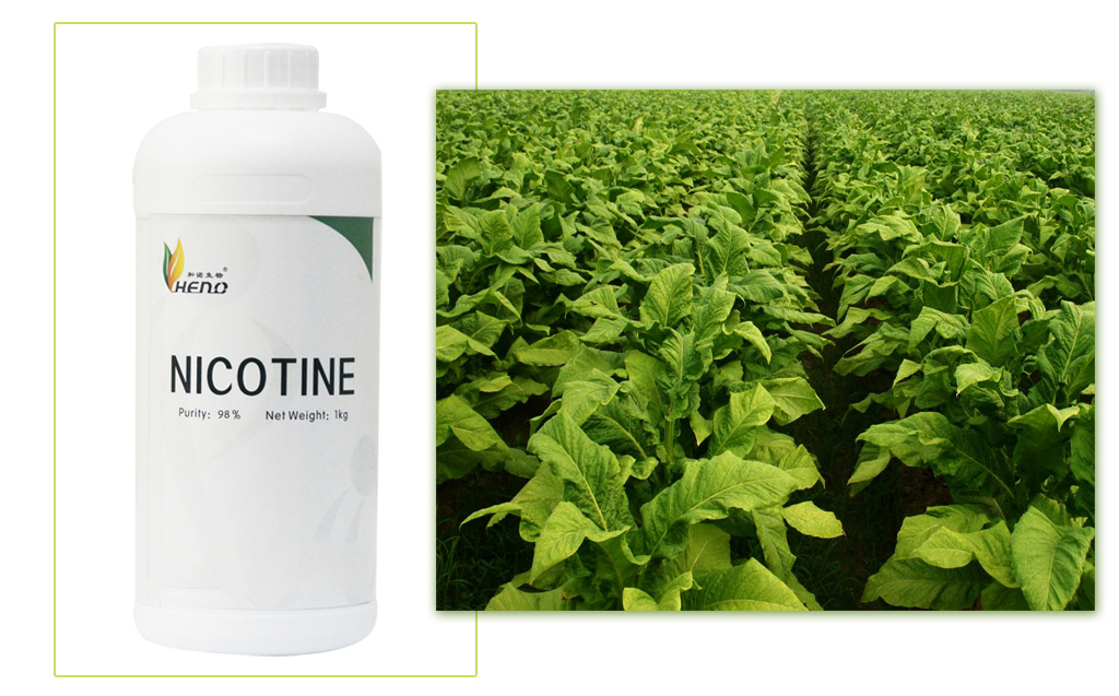 High quality pure nicotine factory for vapor