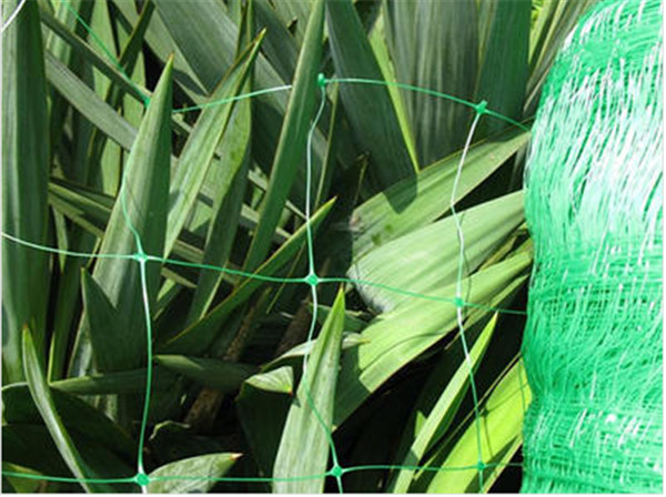 Plant Support Netting china