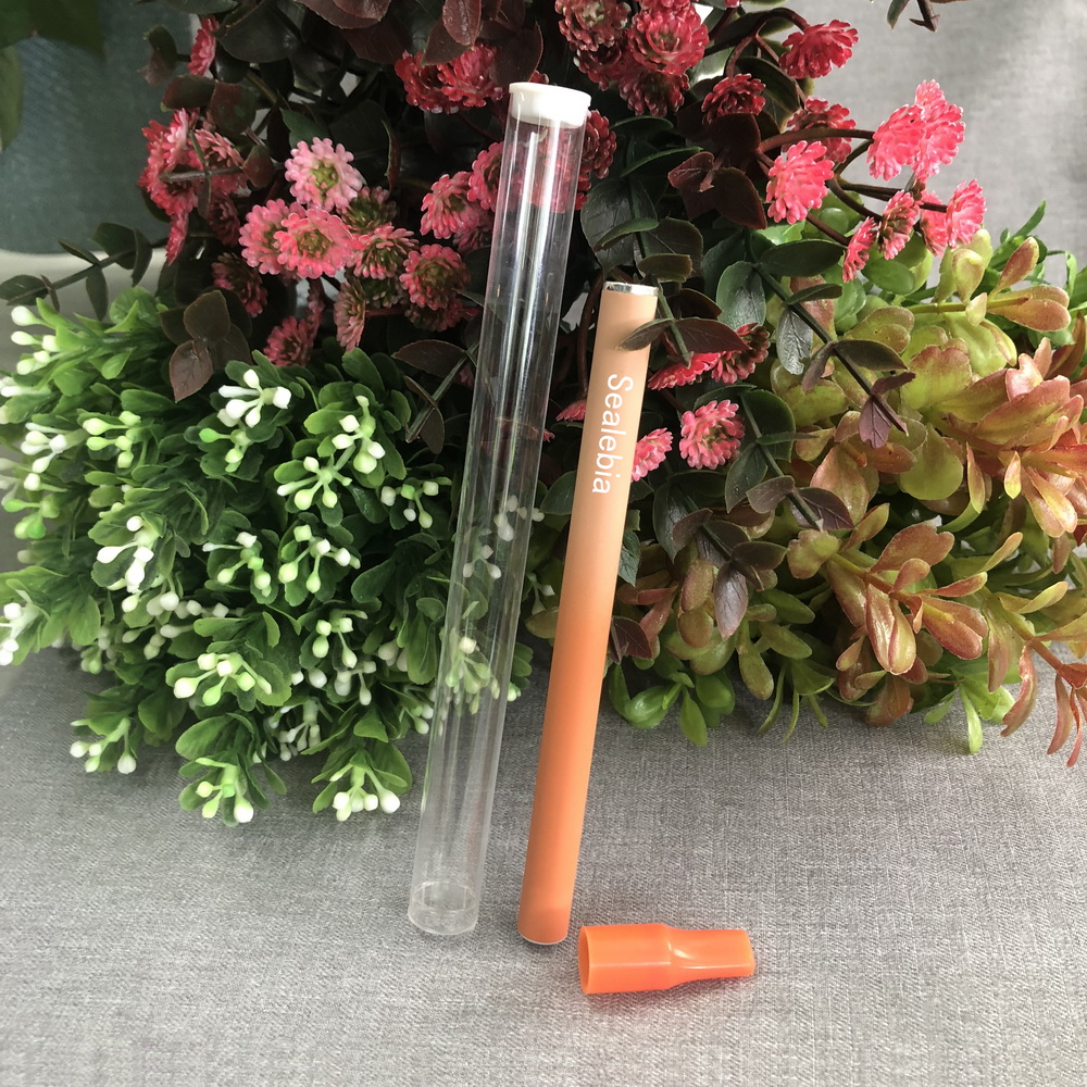 Sealebia Disposable Mini Energy Vape Bar