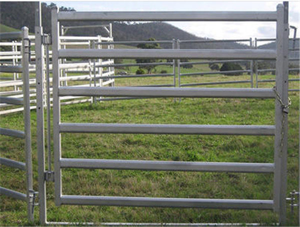 Sheep Panel for sale in China