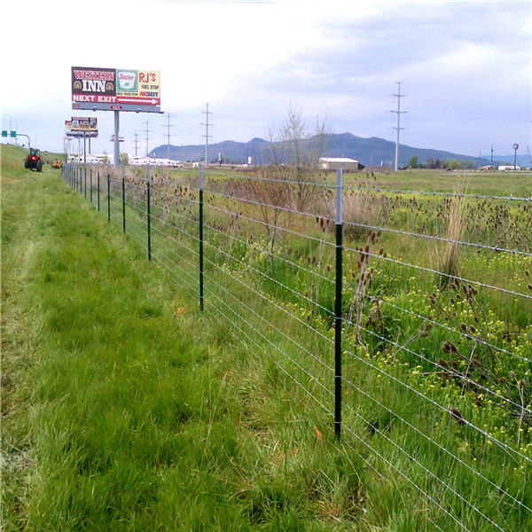 Field Fence Field Fence in china