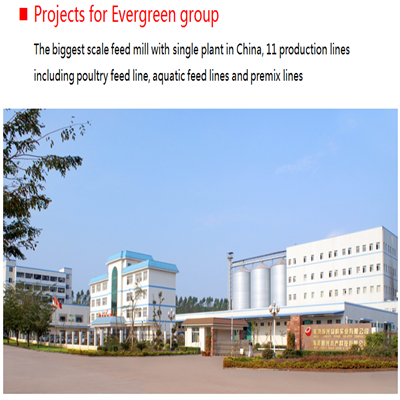 Turn Key Project for Aquaculture and Poultry Feed Production