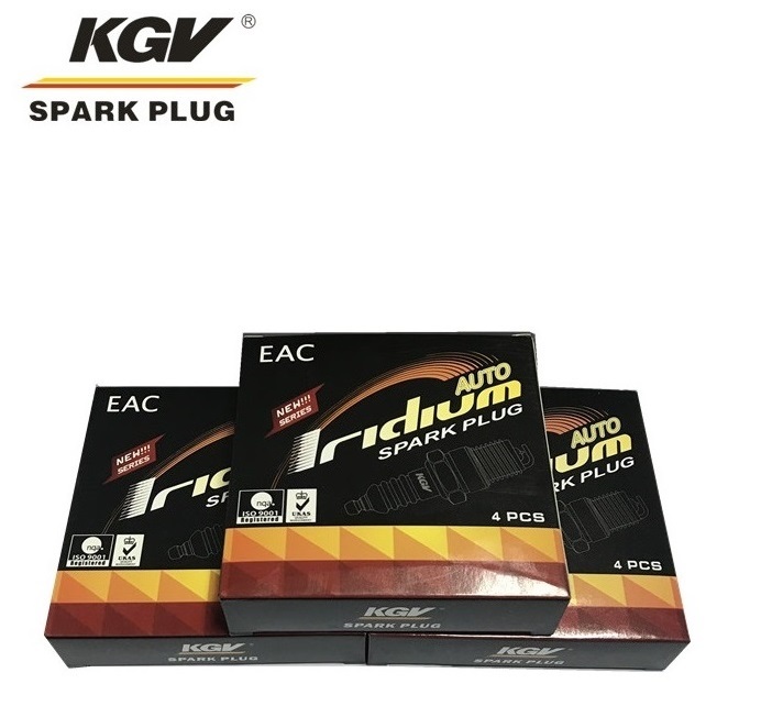 Auto Double Iridium Spark Plug DTR5A13