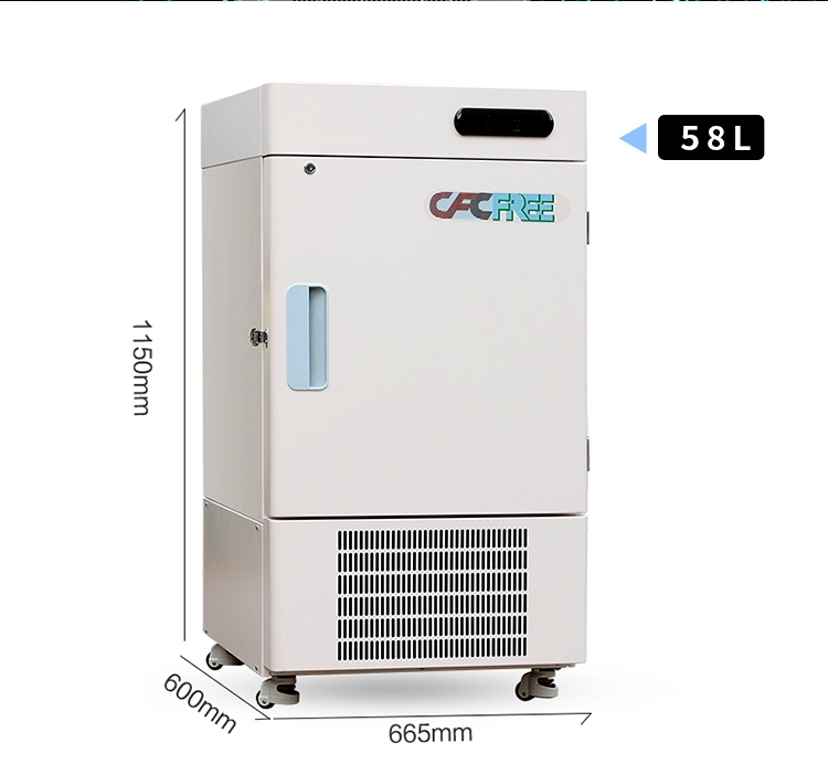 86 Degree Commercial Upright Low Temperature Freezer with Factory Price
