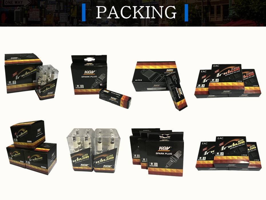 Auto IridiumPlatinum Spark Plug STR5A13