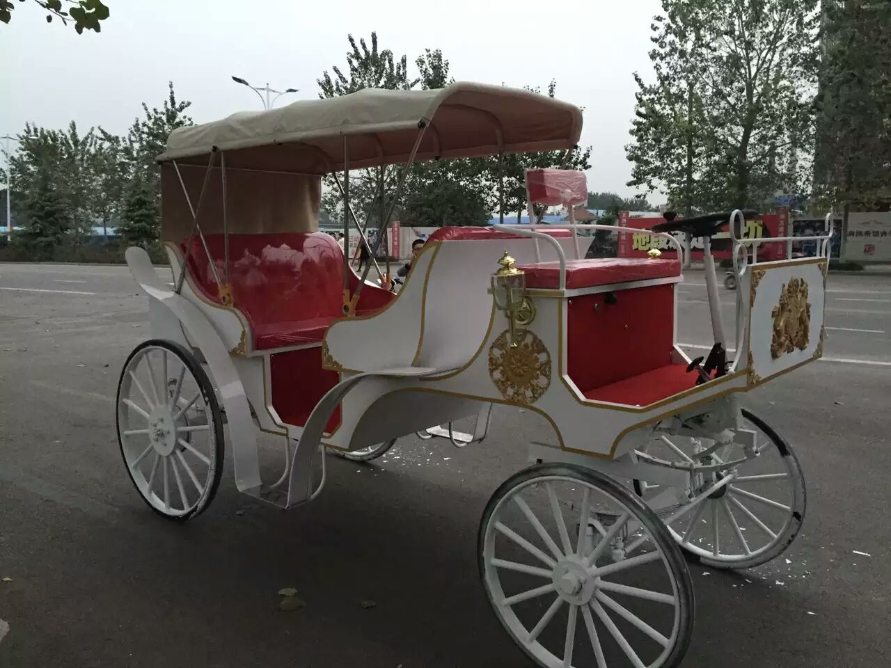 Sightseeing Marathon Horse Carriage With Canopy